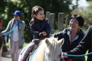 Pony Rides at Lionel's Petting Farm in Markham, ON Canada