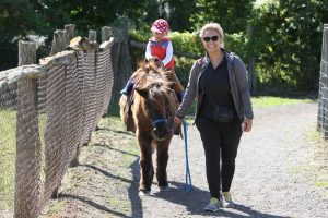 Pony Rides at Lionel's Petting Farm in Markham, ON Canada