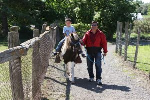 Pony Rides at Lionel's Farm in Markham, ON Canada