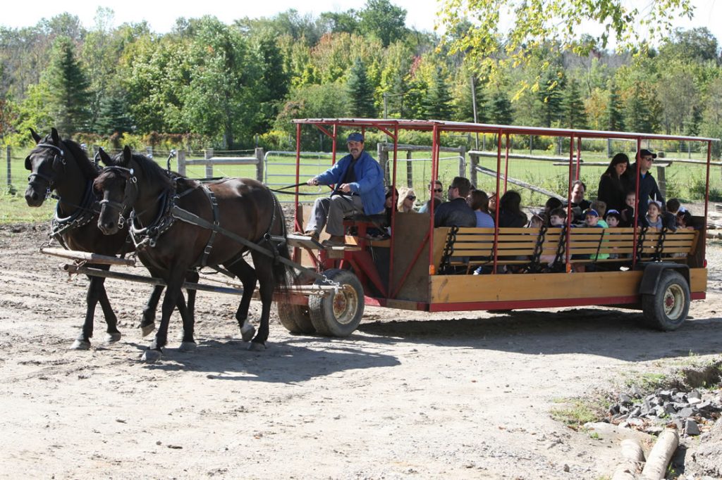 Wagon Rides at Lionel's Pony Farm