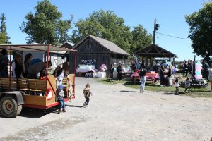 Birthday Party location outdoors at Lionel's Pony Farm