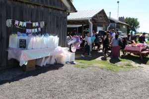 Birthday Party location outdoors at Lionel's Pony Farm