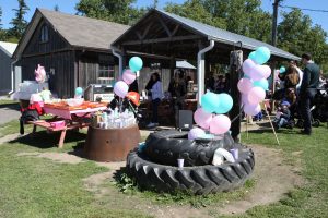 Birthday Party location outdoors at Lionel's Pony Farm 1709091220_doug_17il0269