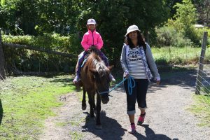 Pony Rides at Lionel's Petting Farm in Markham, ON Canada