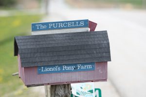 mailbox of Lionel's Farm in Stouffville