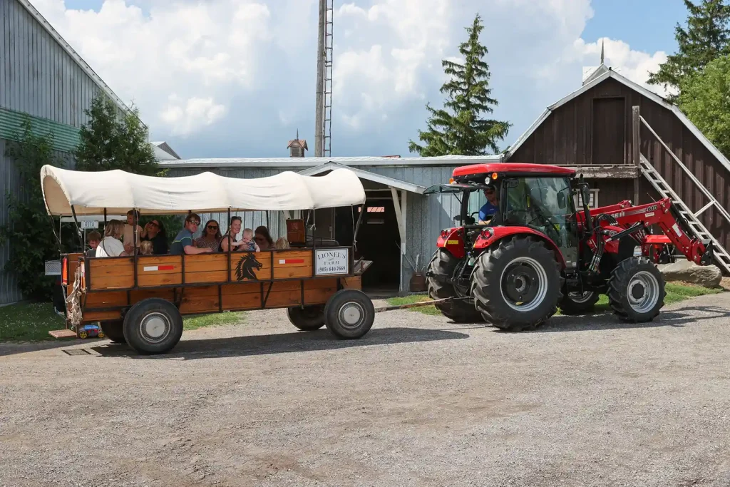 Wagon Rides at Lionel's Pony Farm