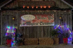 Have a Magical Christmas - Lionels Farm