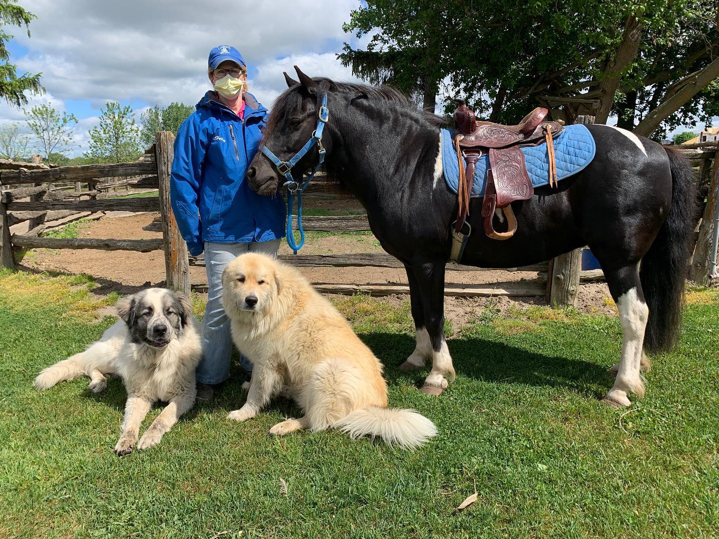 Private Pony Ride at Lionel's Pony Farm during COVID-19