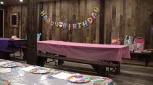 Birthday Parties at Lionel's Pony Farm